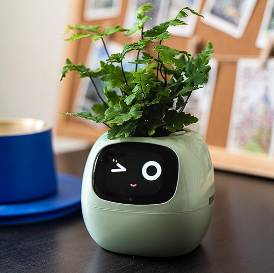 1x PlantBuddy™ UPSELL